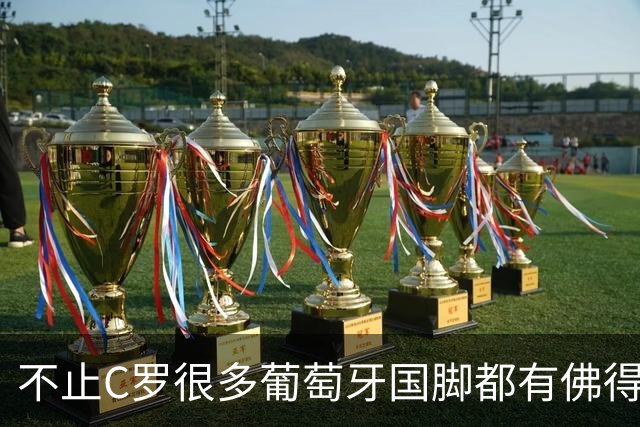 不止C罗很多葡萄牙国脚都有佛得角血统 还有中国归化球员德尔加多